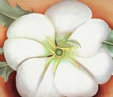 Georgia O'keeffe Famous Paintings - White flower on Red Earth No. 1